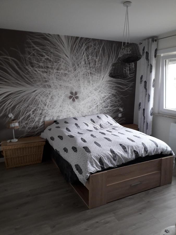 La Chambre Plume Truchtersheim المظهر الخارجي الصورة